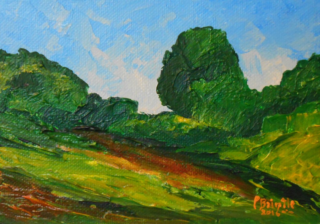 Environs de Plaisance, 2016 - Patricia Brintle