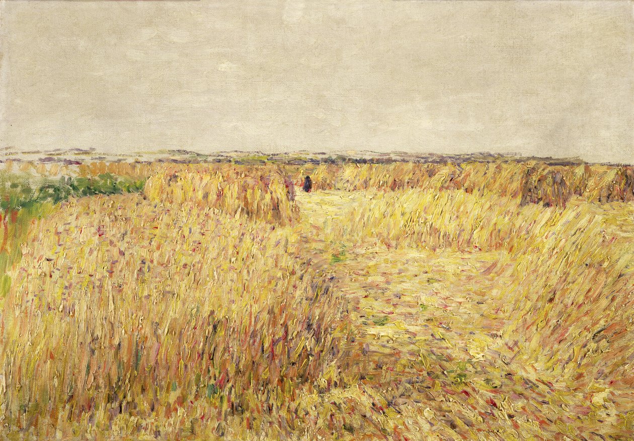 Champs de maïs devant une chaîne de dunes de sable - Paul Baum