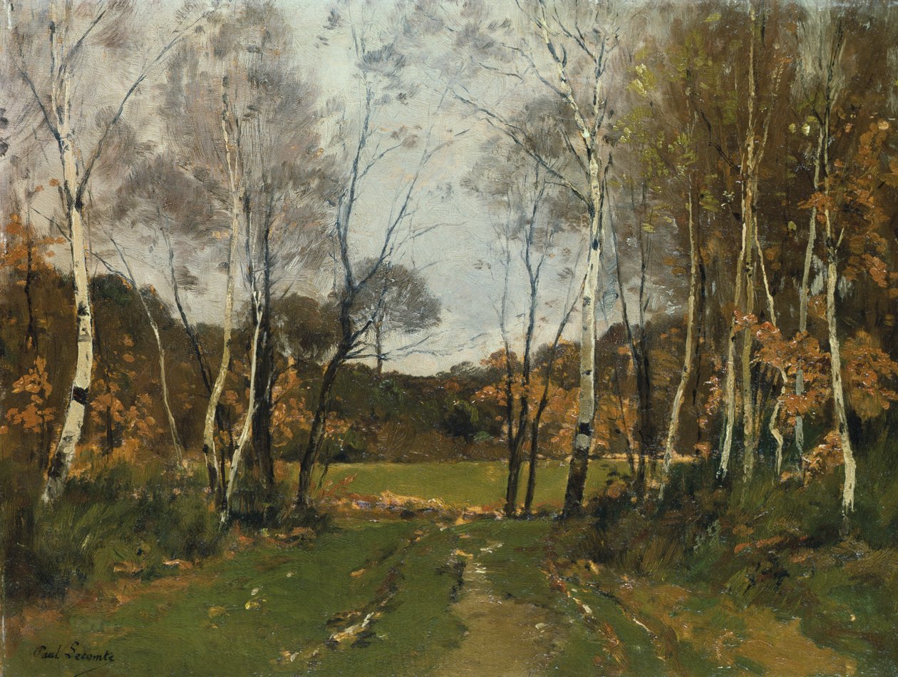 Paysage boisé - Paul Lecomte