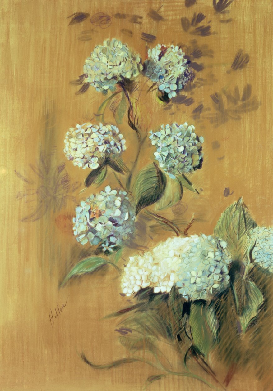 Hortensias - Paul Cesar Helleu