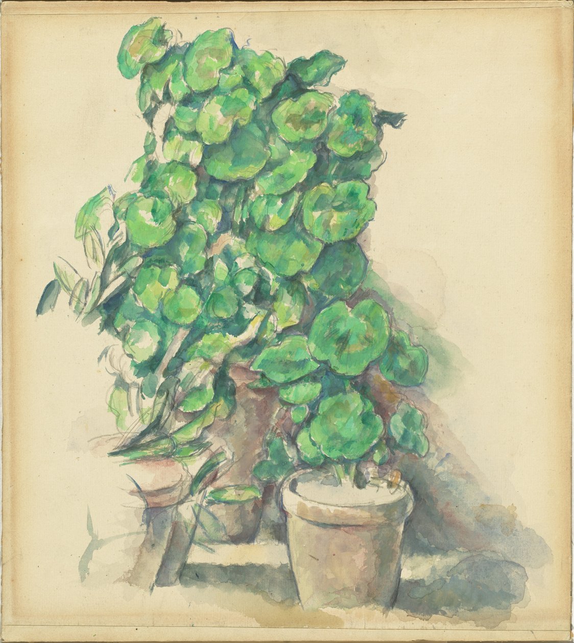 Géraniums - Paul Cézanne