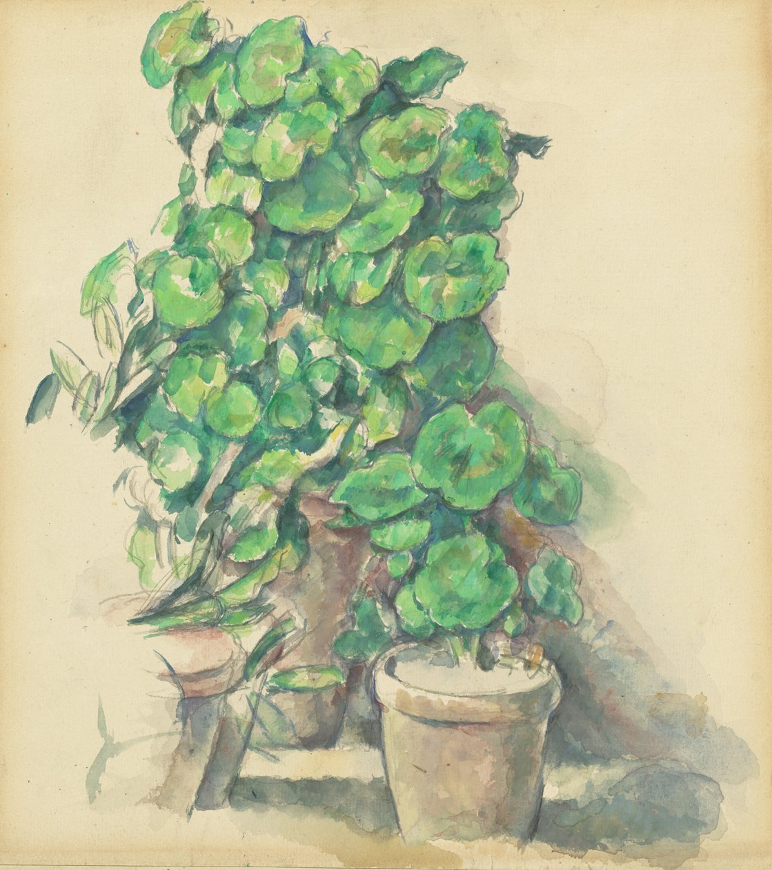 Géraniums, 1888-1890 - Paul Cézanne