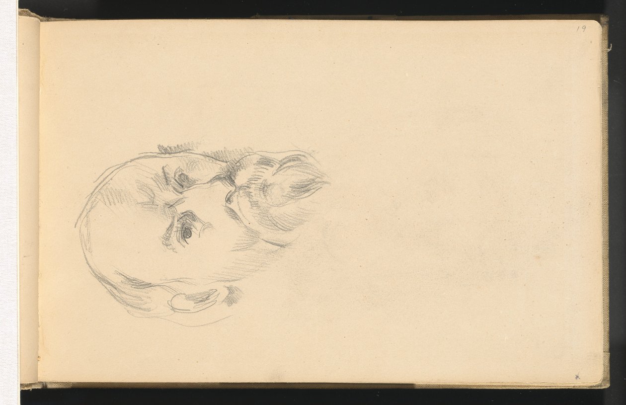 Autoportrait - Paul Cézanne