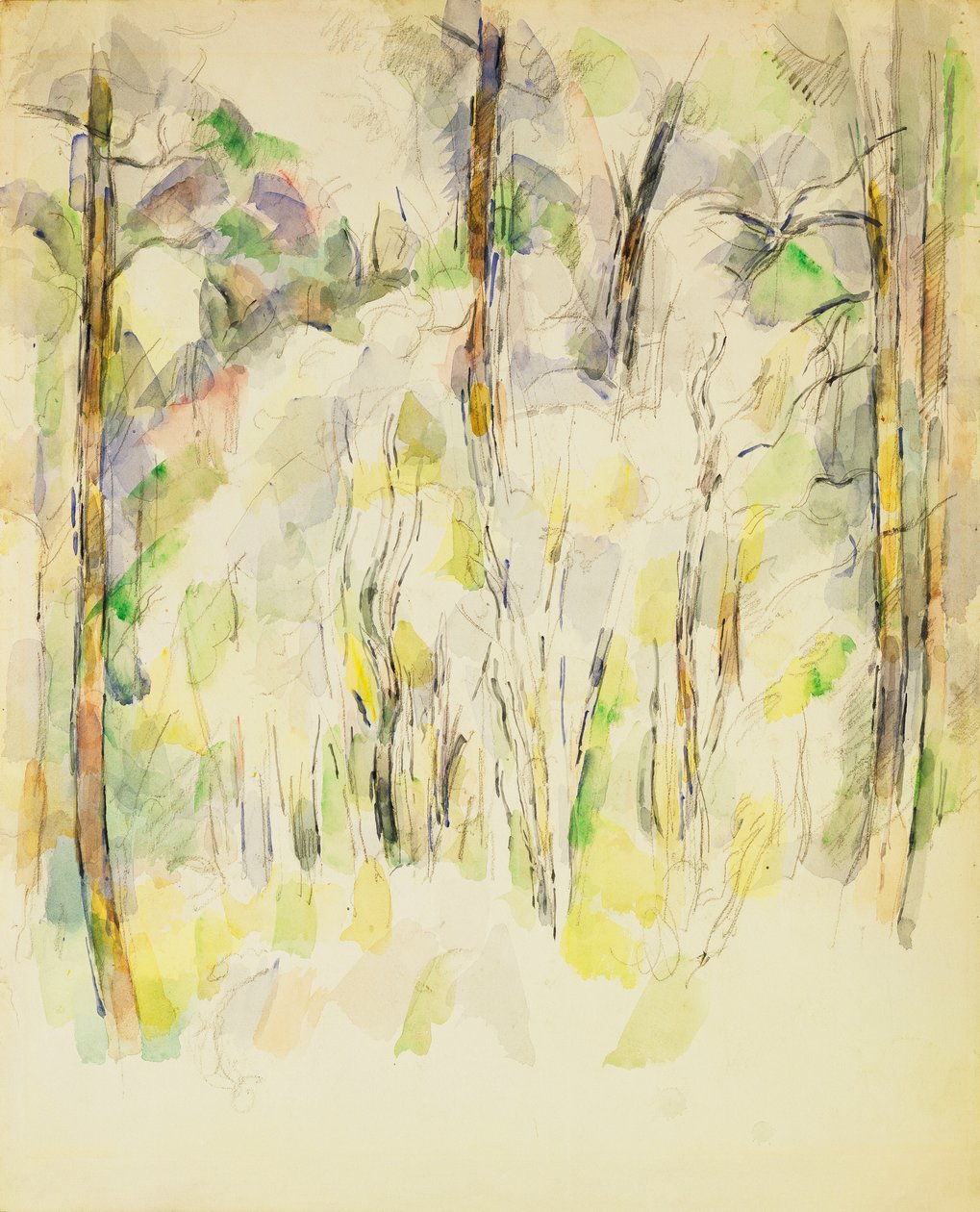 Scène de Forêt, vers 1900-1904 - Paul Cézanne