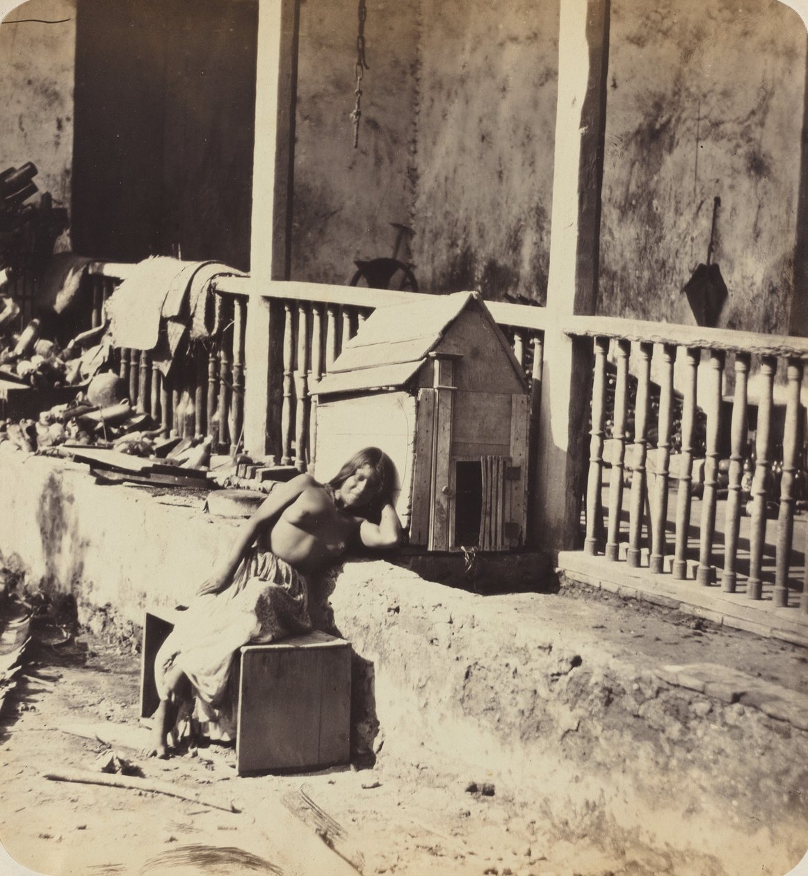 Chien de Garvel (Martinique) - Paul Emile Miot