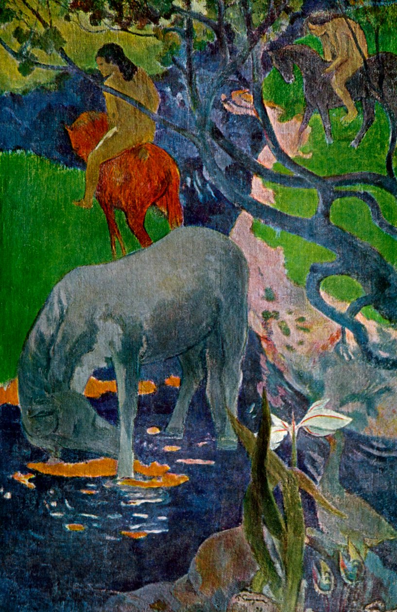 Le Cheval Blanc, 1898 1939 - Paul Gauguin