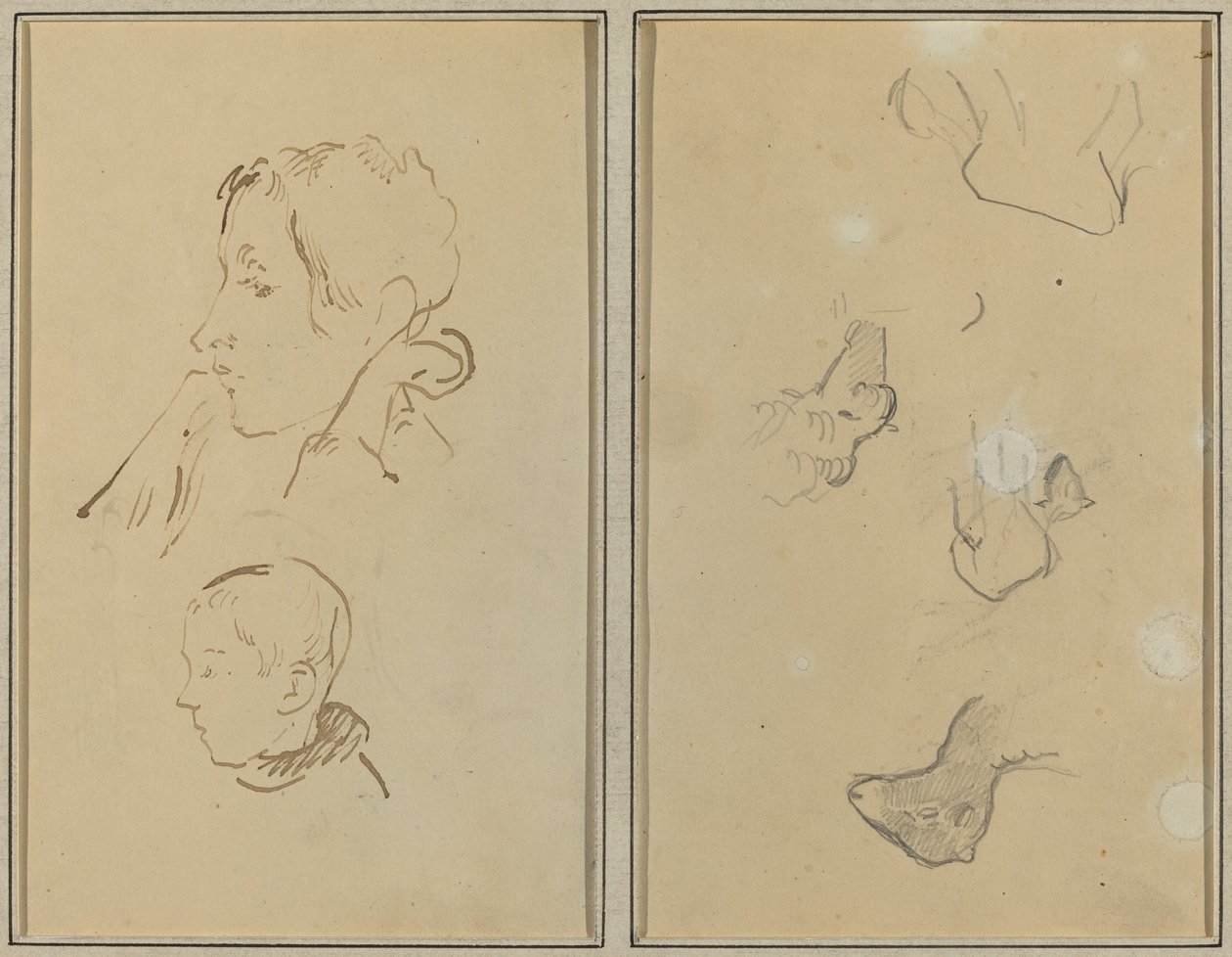 Deux têtes ; Études de moutons [recto] - Paul Gauguin