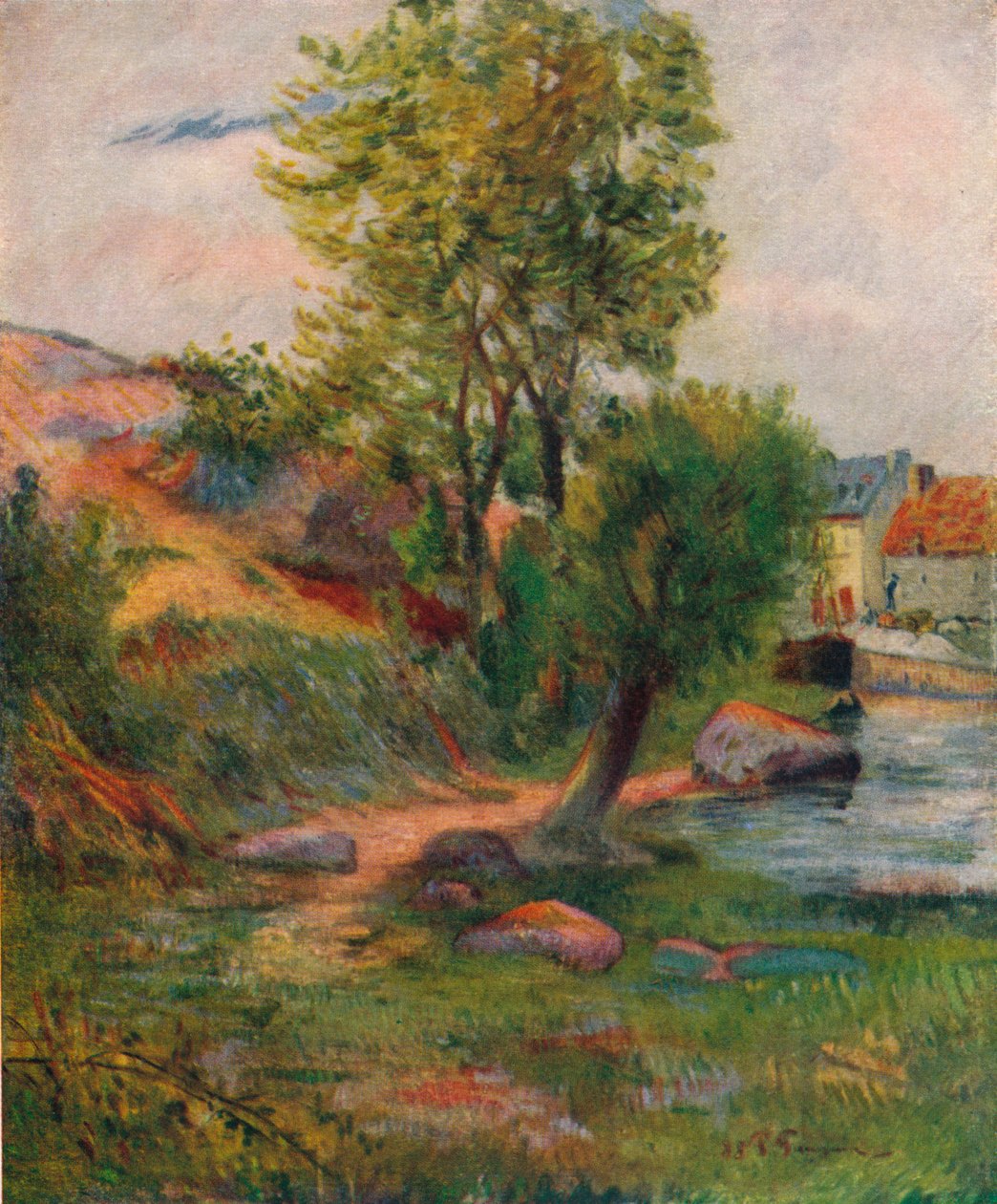 Saule près de l