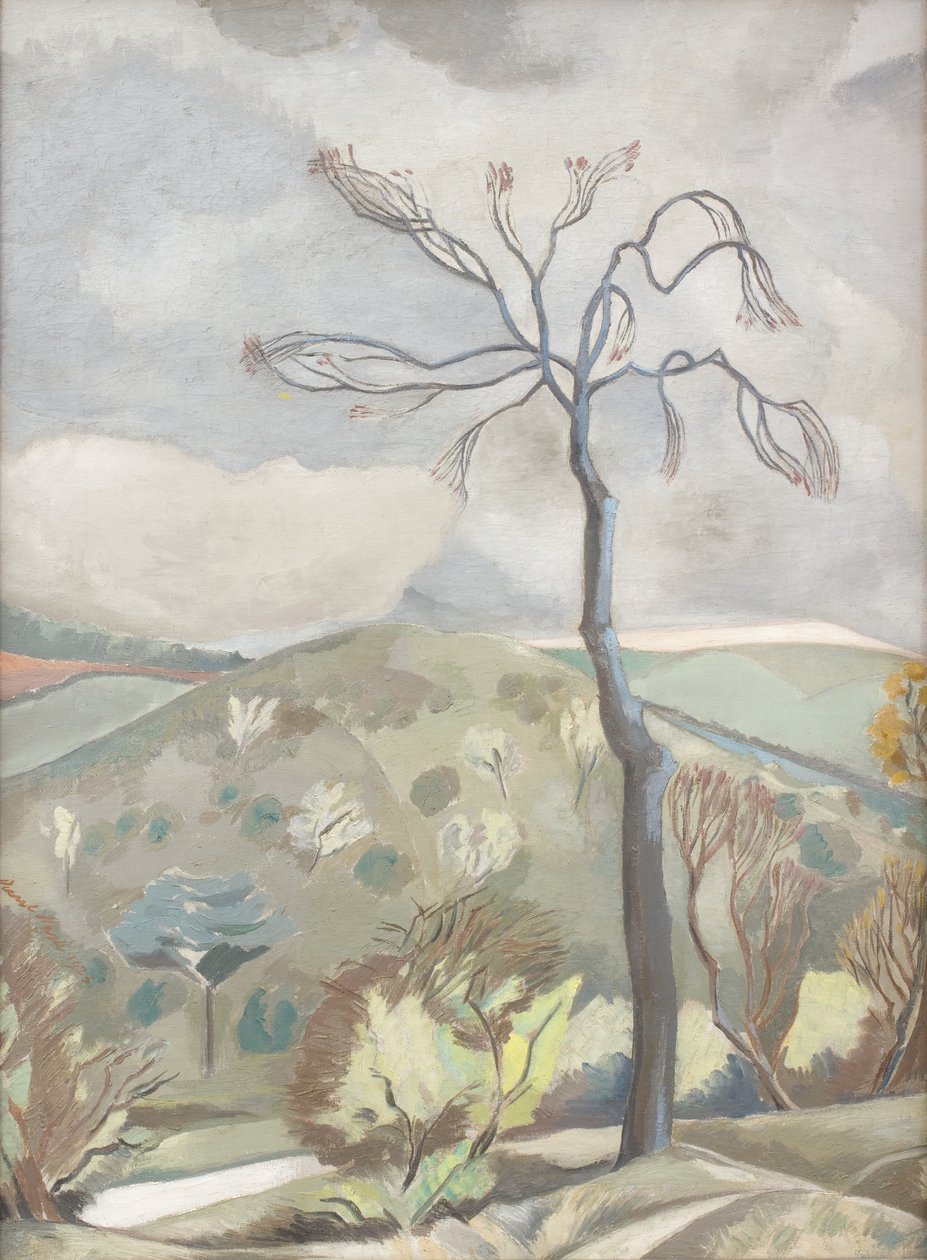 Paysage d