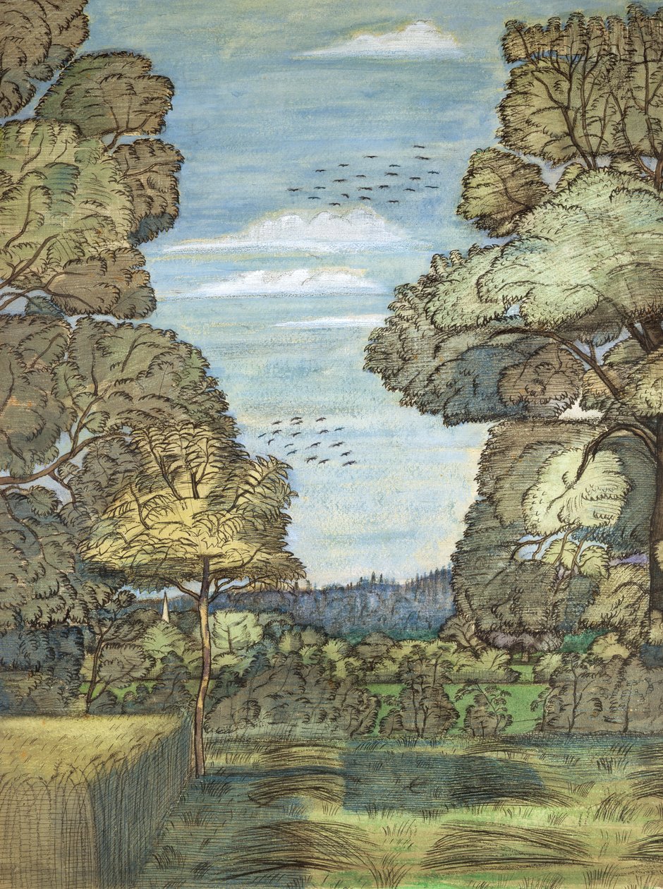 Paysage d