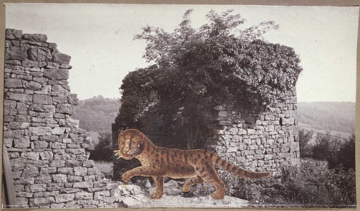 Tigre, Tigre, vers 1938 (collage) - Paul Nash