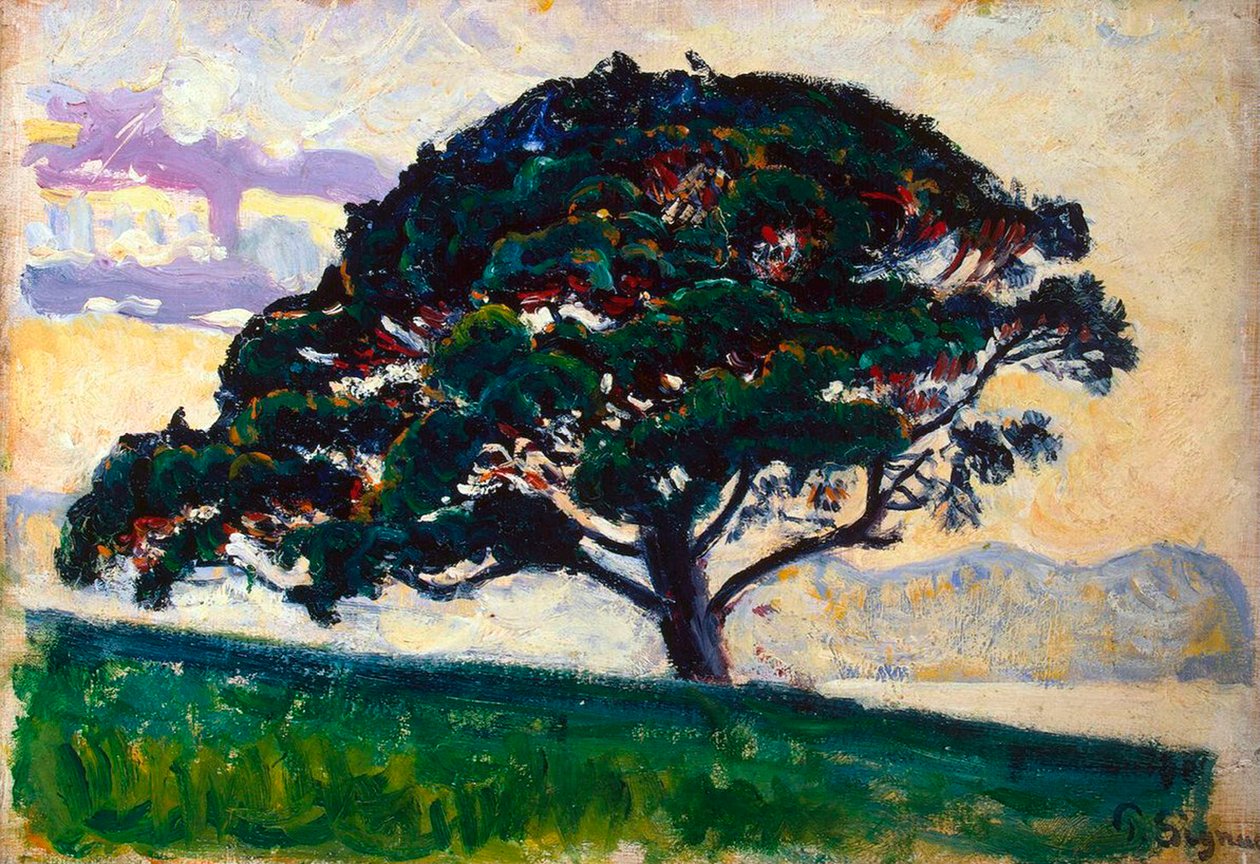 Grand pin, Saint-Tropez, 1892-1893 - Paul Signac