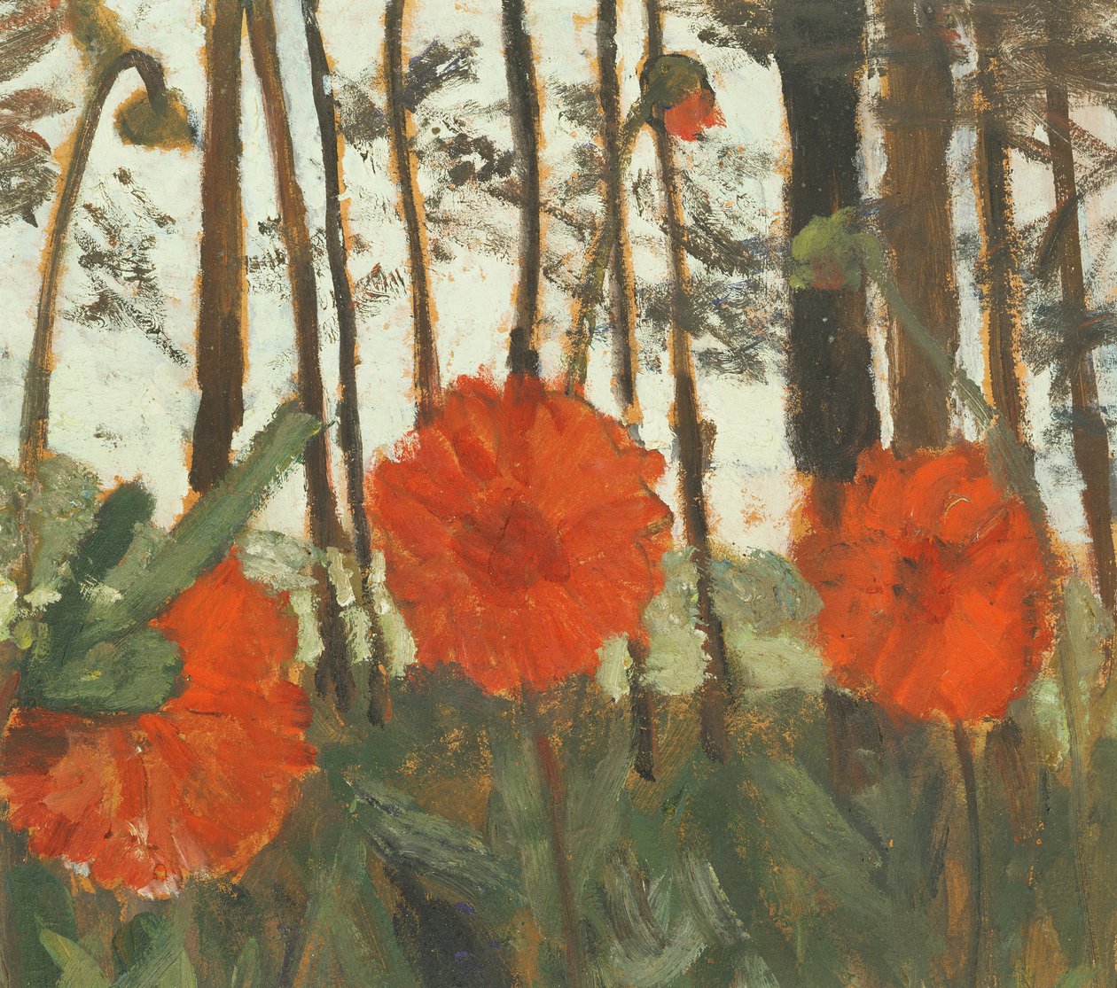 Coquelicots au bord d