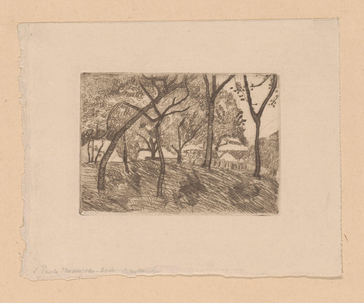 Paysage forestier - Paula Modersohn Becker (signed by artist)