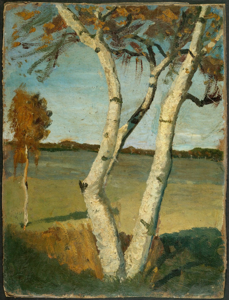 Bouleau à deux troncs devant un paysage - Paula Modersohn Becker