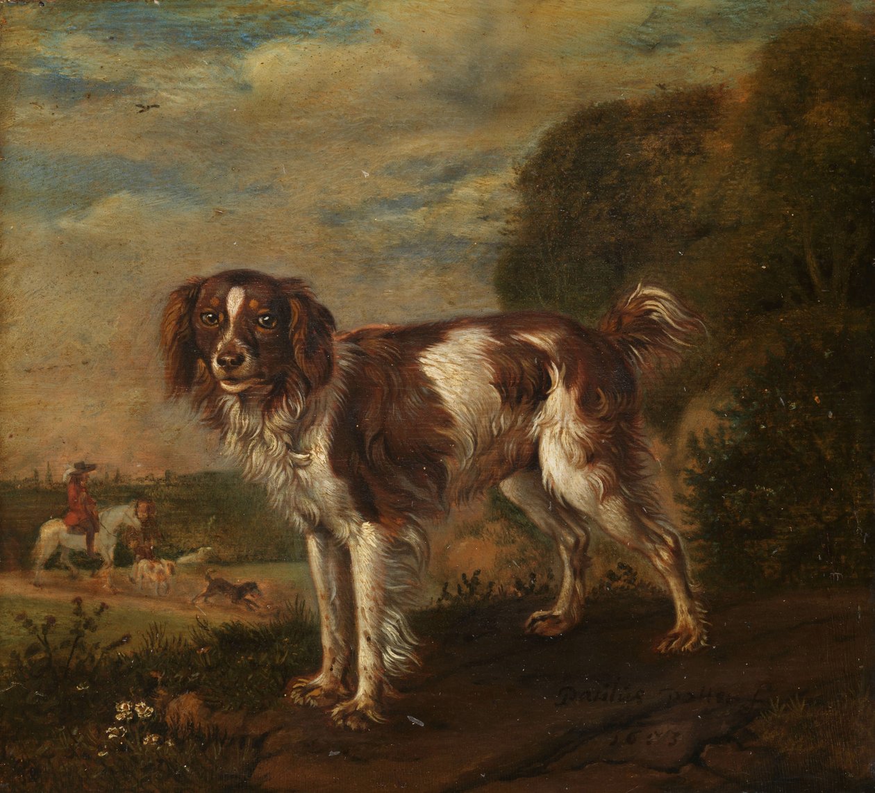 Un épagneul - Paulus Potter