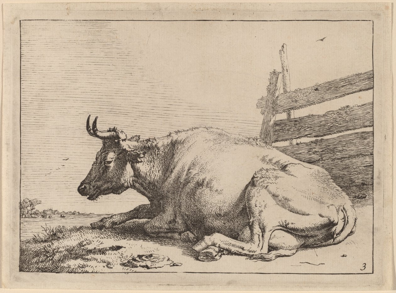 Vache couchée près d