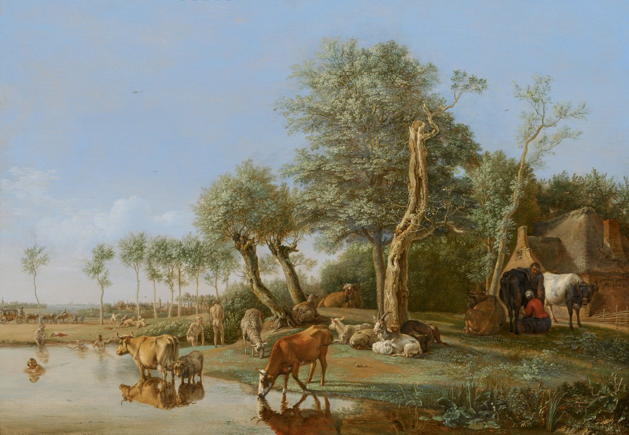 Vaches reflétées dans l