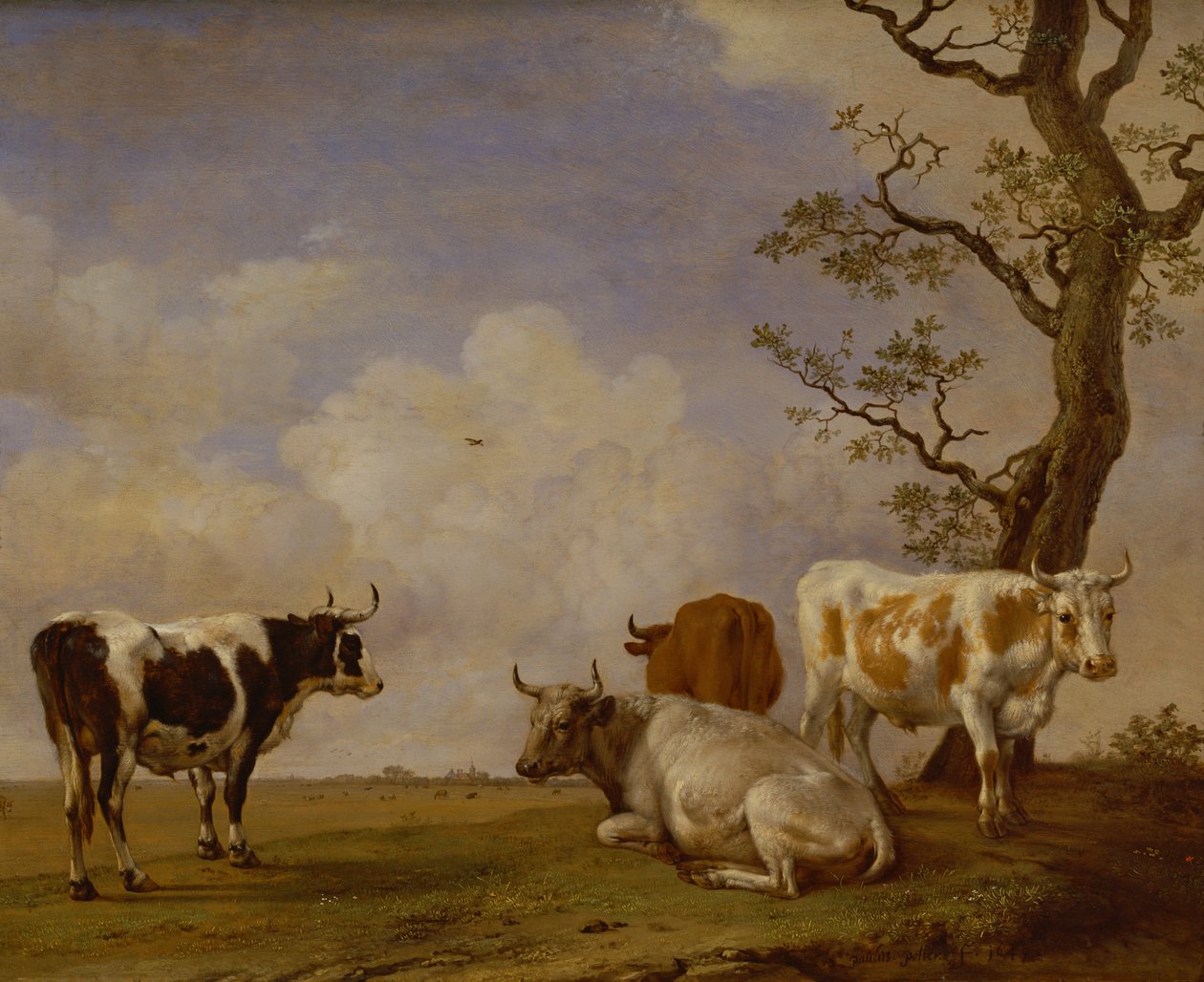 Quatre taureaux - Paulus Potter