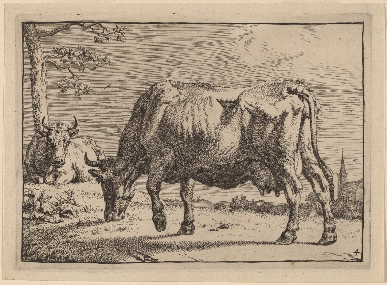 Vache en train de paître - Paulus Potter