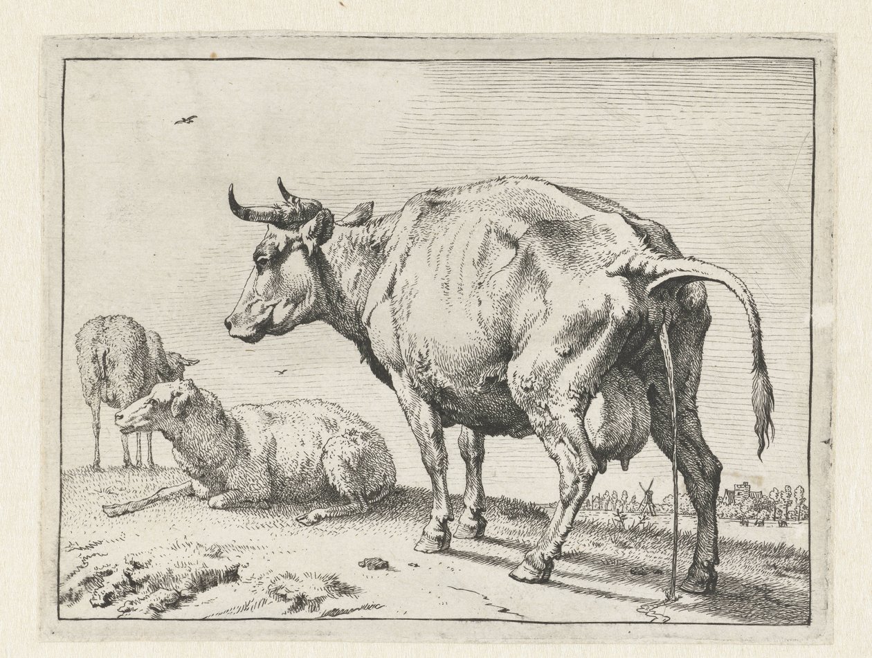 Vache urinant - Paulus Potter