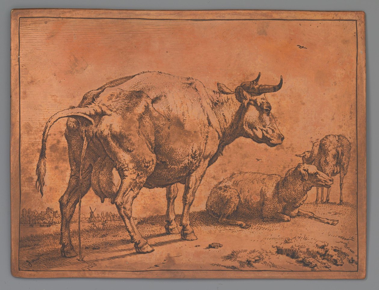 Vache urinant et deux moutons - Paulus Potter