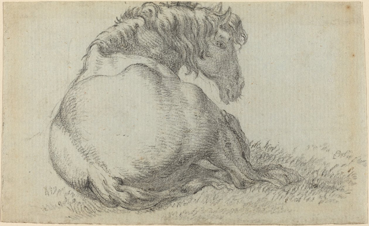 Cheval au repos - Paulus Potter