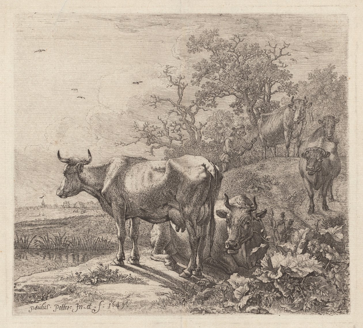 Le vacher - Paulus Potter