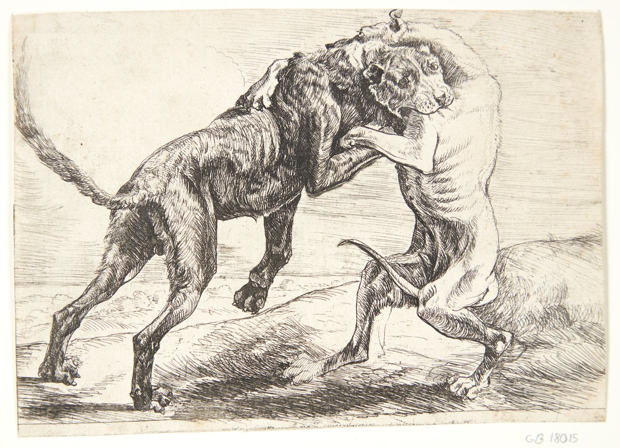 Deux chiens qui se battent - Paulus van Hillegaert (II)