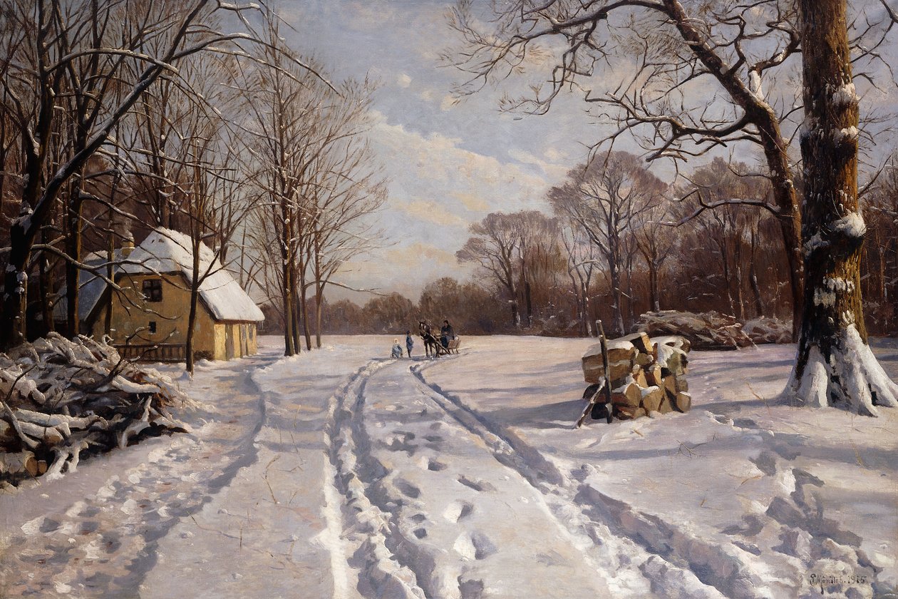Promenade en traîneau à travers un paysage d