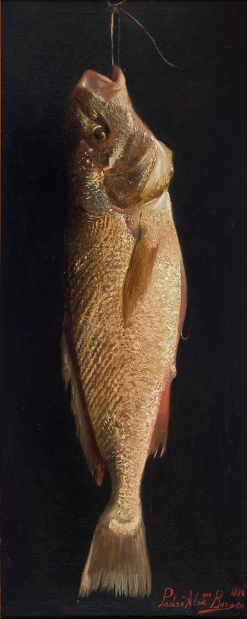 Poisson - Pedro Alexandrino Borges