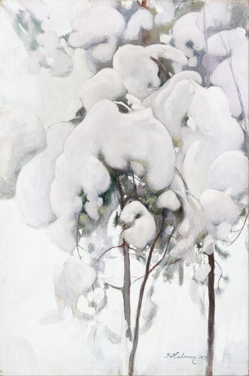 Jeunes pins couverts de neige - Pekka Halonen