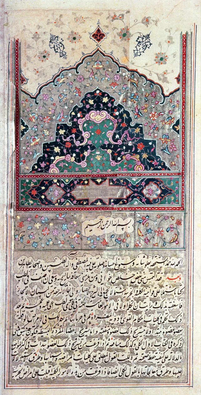 Page du Canon de la médecine par Avicenne (Ibn Sina) 1632 - Persian School
