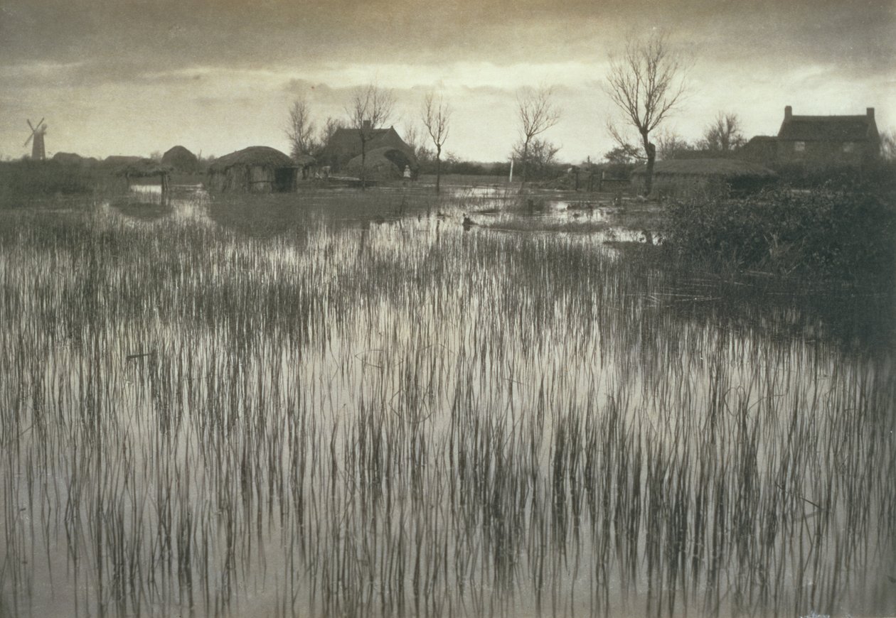 Une rive marécageuse, Vie et paysage sur les Norfolk Broads, vers 1886 - Peter Emerson und Thomas Goodall
