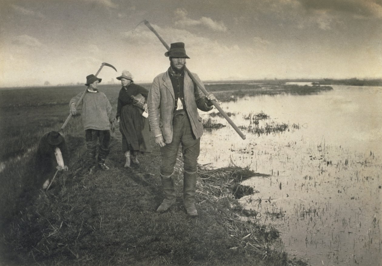 Coupe du Gladdon, Vie et paysage sur les Norfolk Broads, c.1886 - Peter Emerson und Thomas Goodall