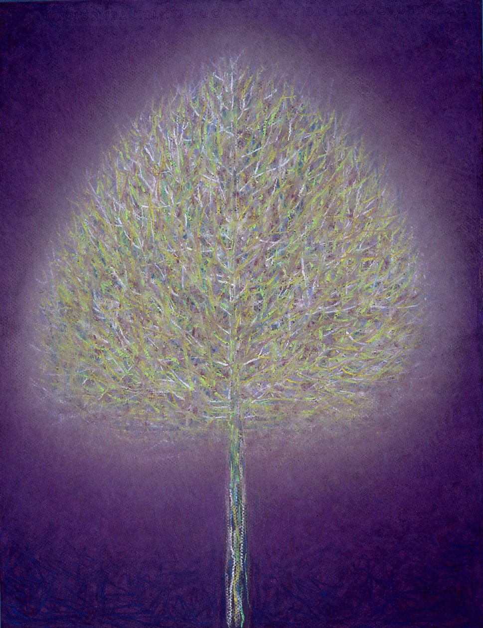 Arbre mystique - Peter Davidson