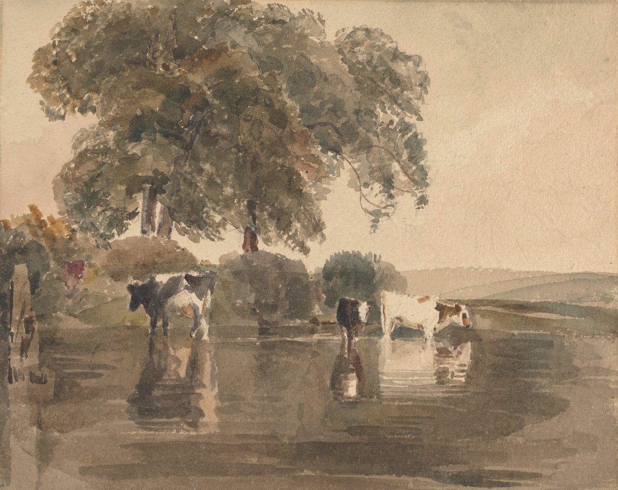 Vaches dans une piscine - Peter de Wint