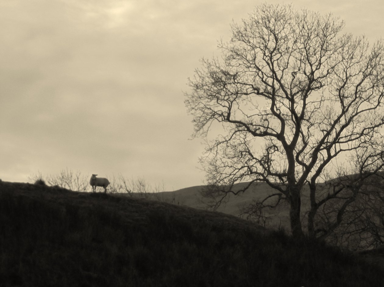 KINTYRE... PLUS.9 - Peter McClure