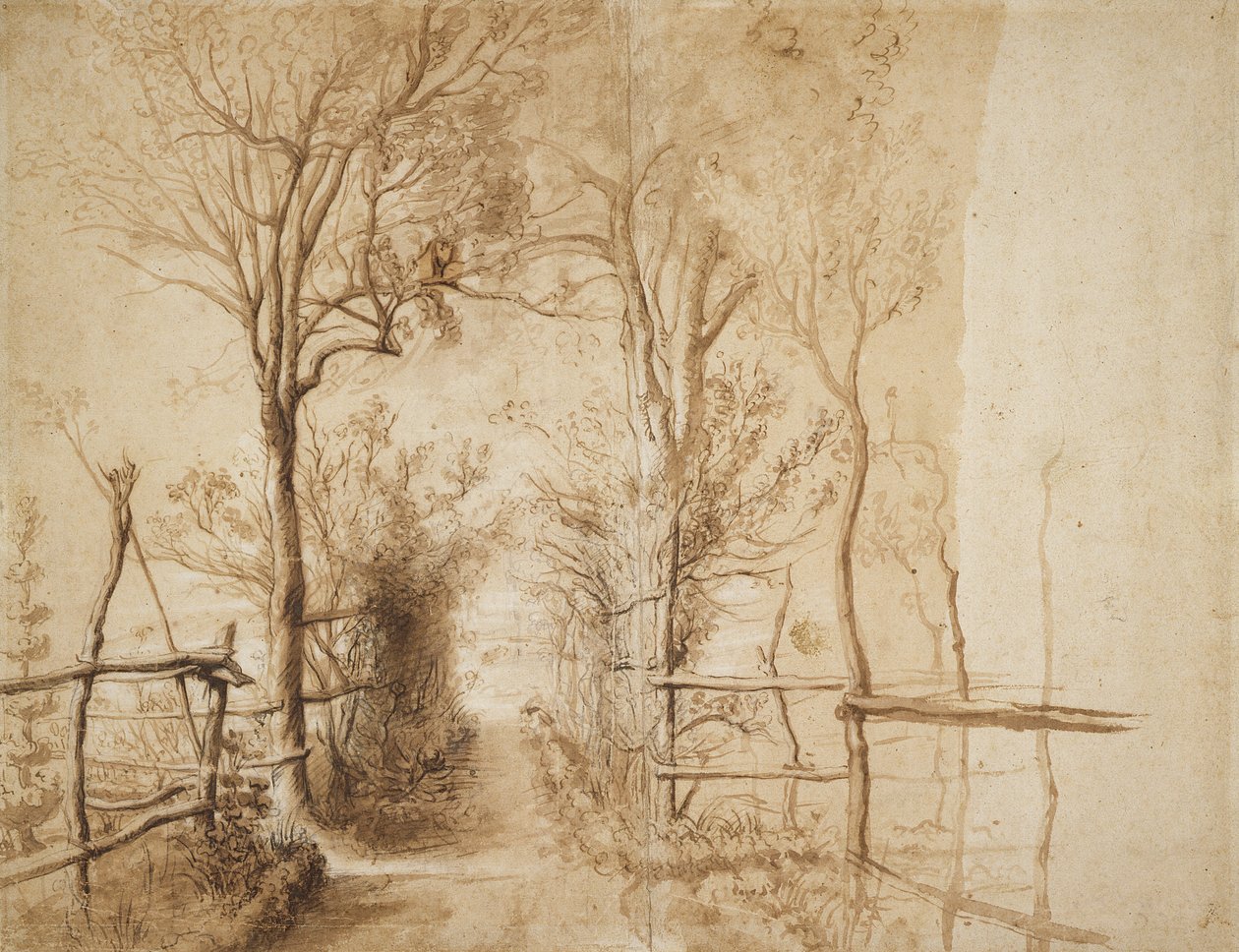 Un chemin bordé d