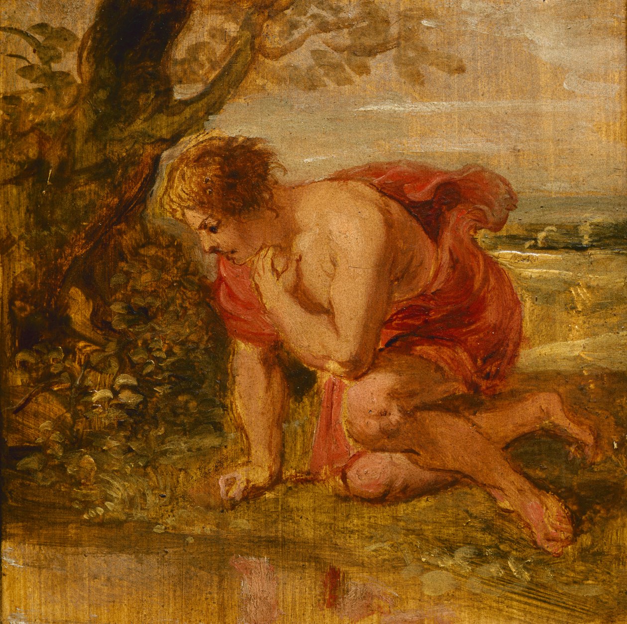 Narcisse - Peter Paul Rubens