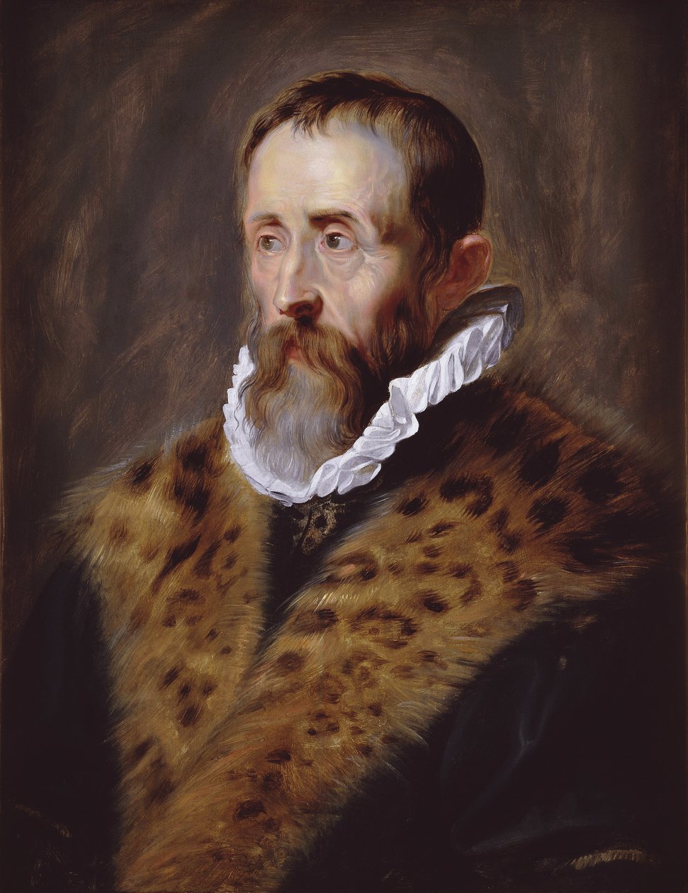Portrait de Justus Lipsius - Peter Paul Rubens