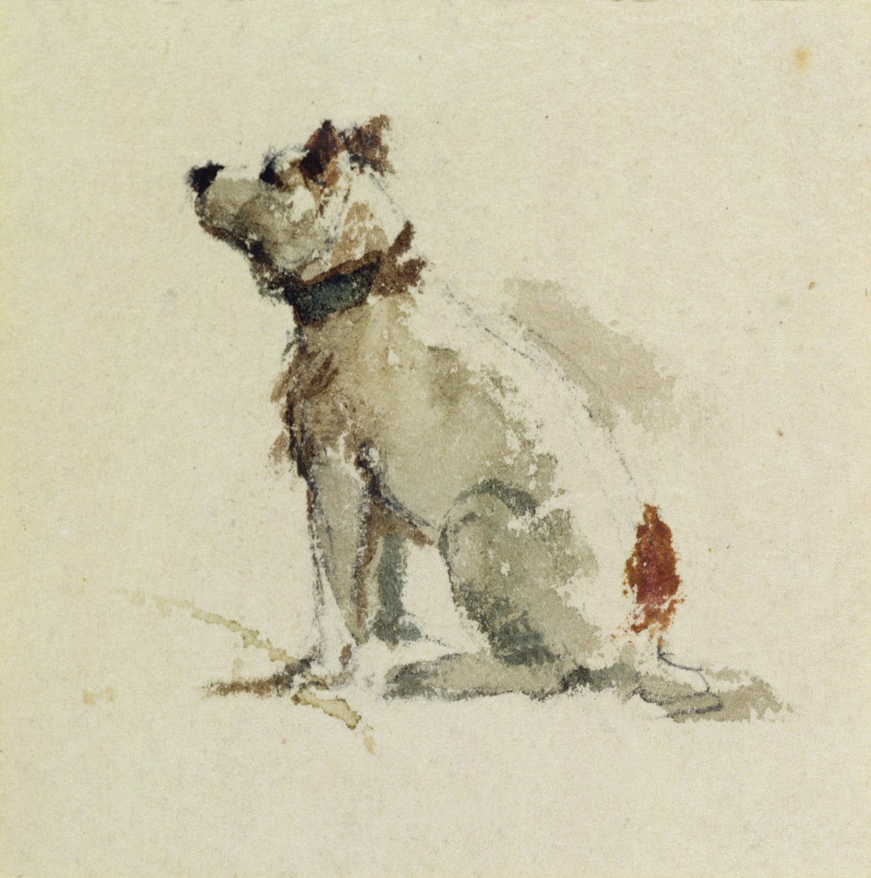 Un Terrier, assis face à gauche - Peter de Wint