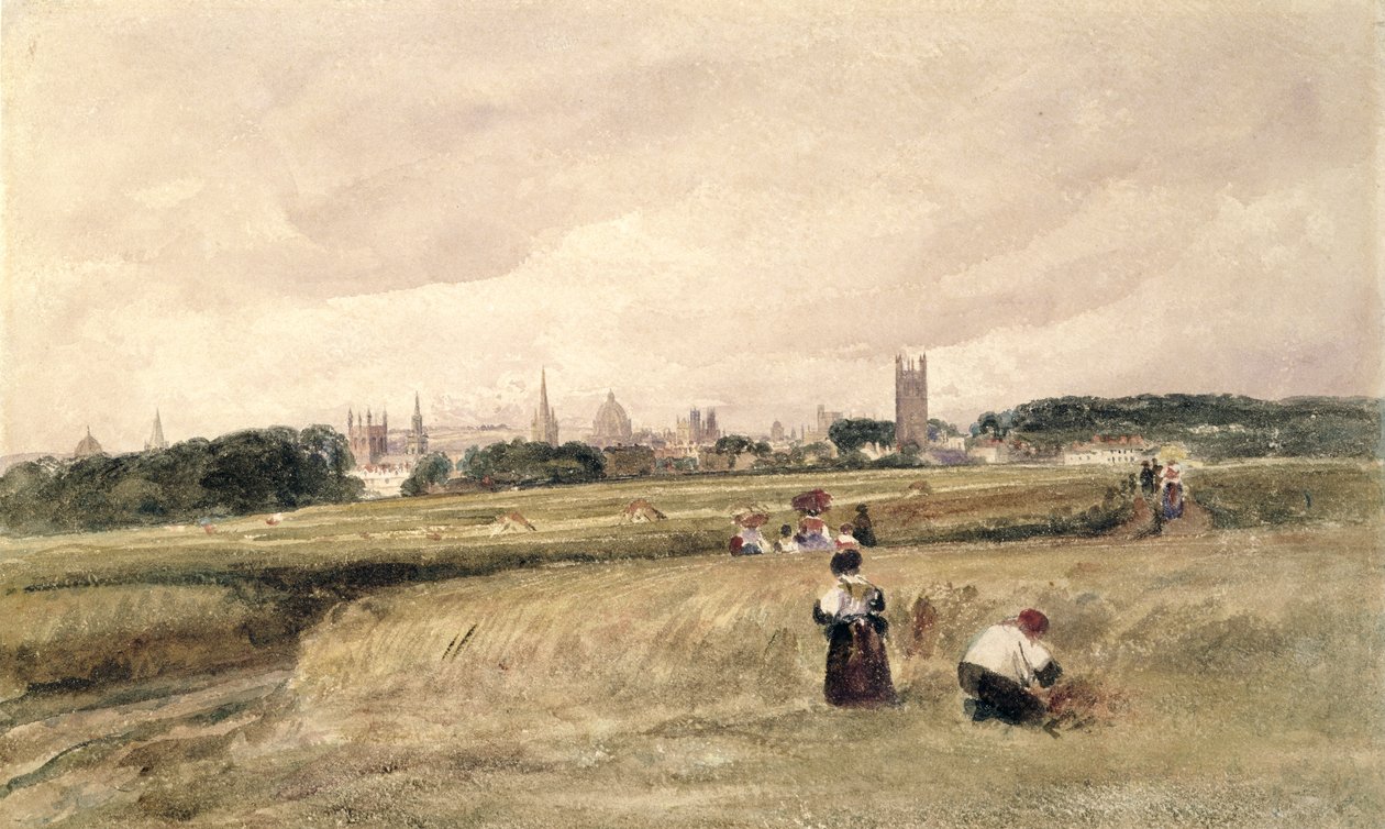 Vue d