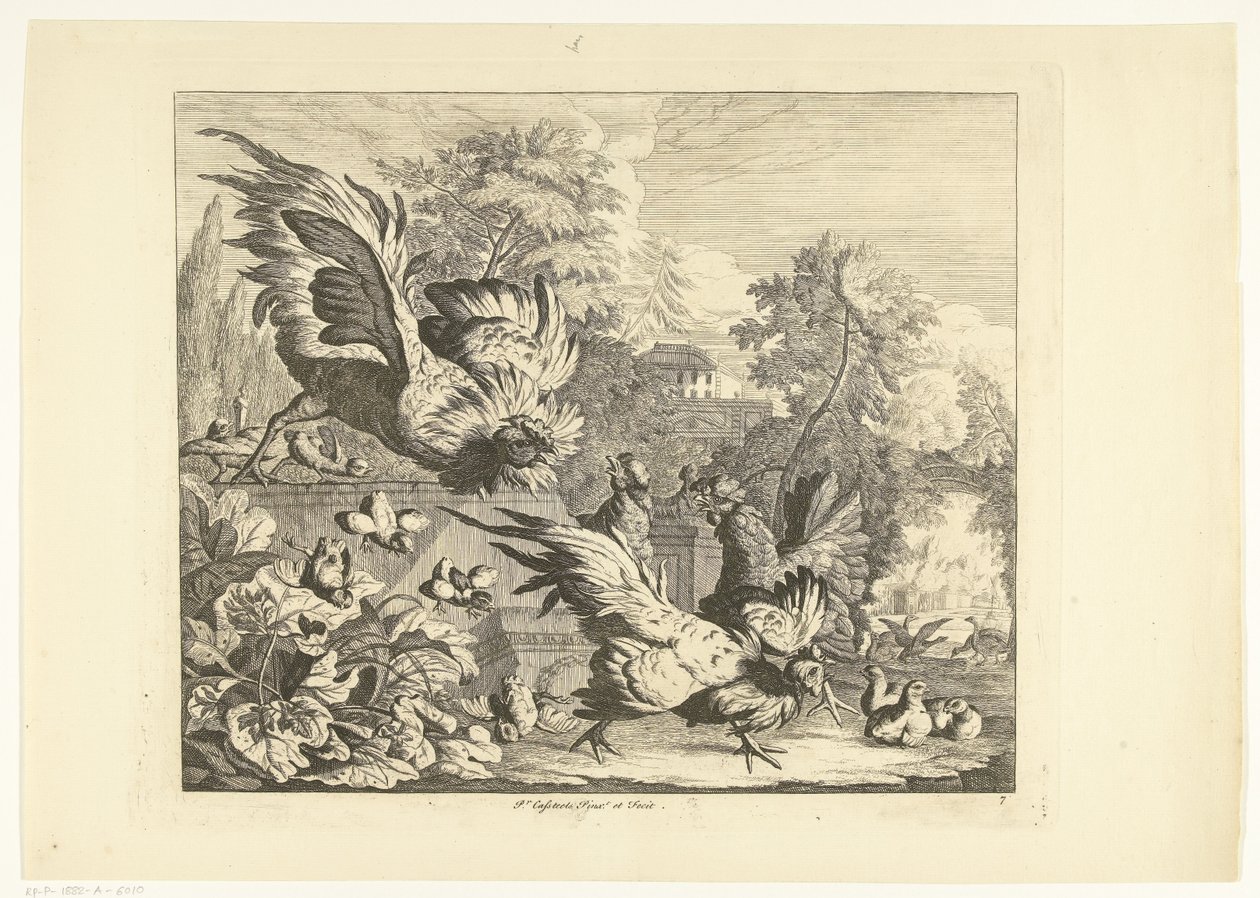 Combat de coqs - Peter Casteels (III)