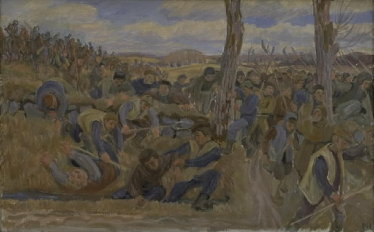 La guerre du comte - Peter Hansen