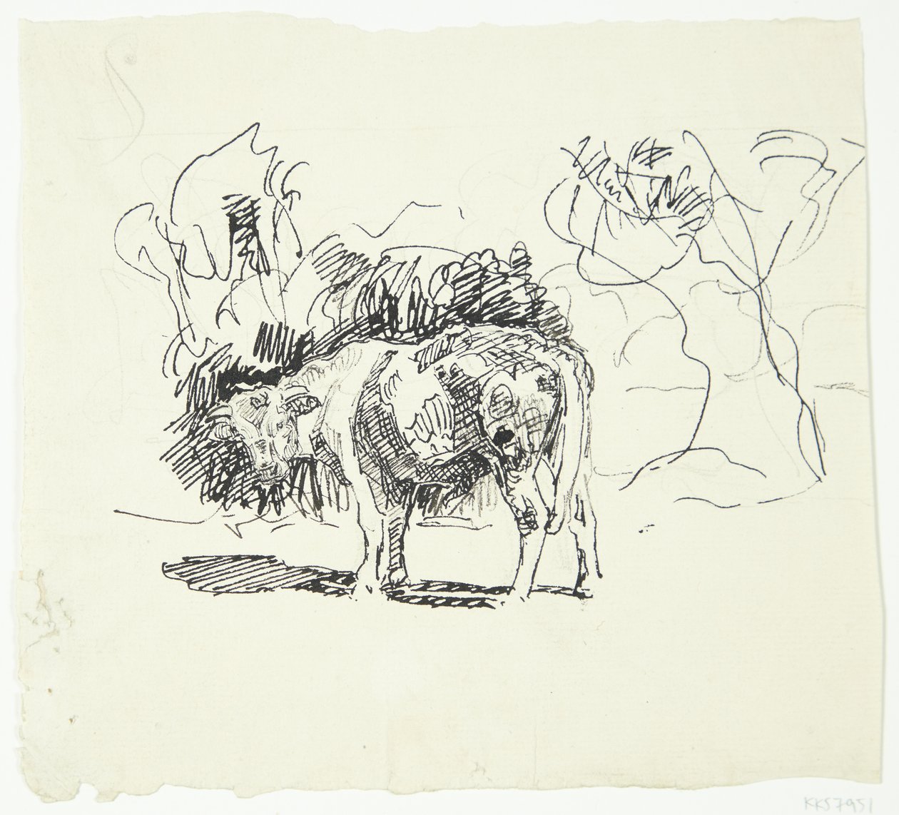 Taureau debout - Peter Hansen