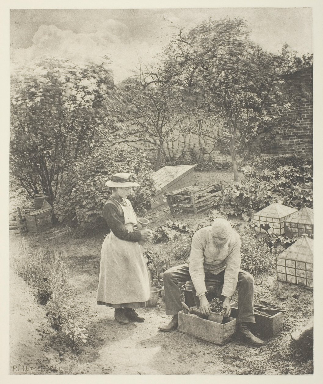 Un bout de jardin (Suffolk) - Peter Henry Emerson
