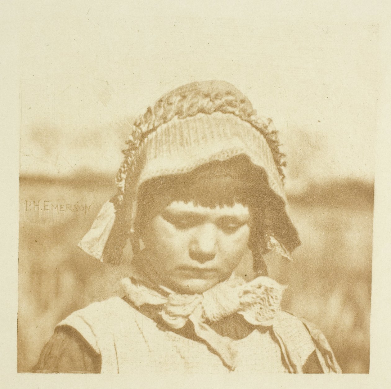 Une Fleur de Norfolk - Peter Henry Emerson
