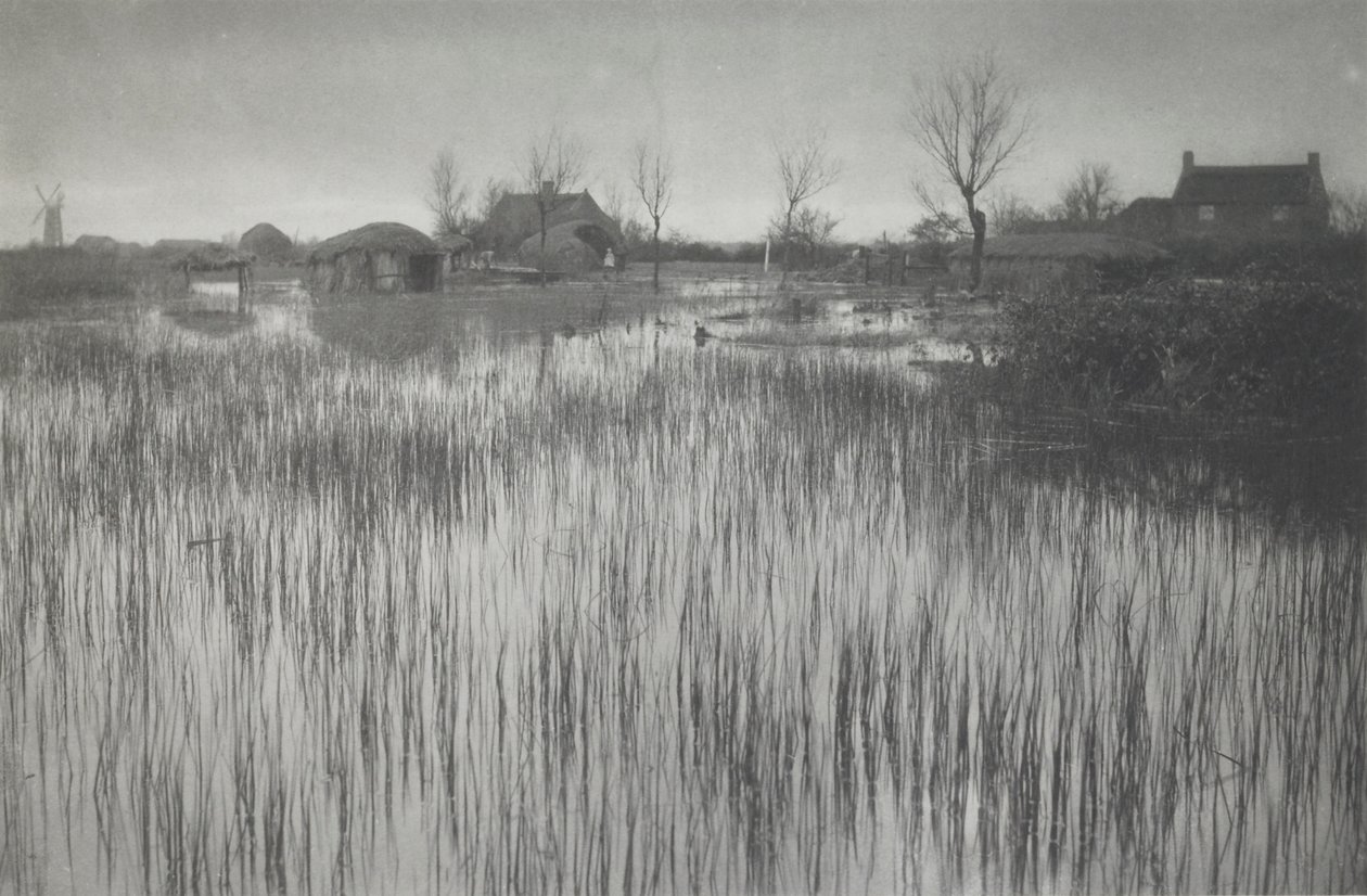 Une Rive Jonchée - Peter Henry Emerson