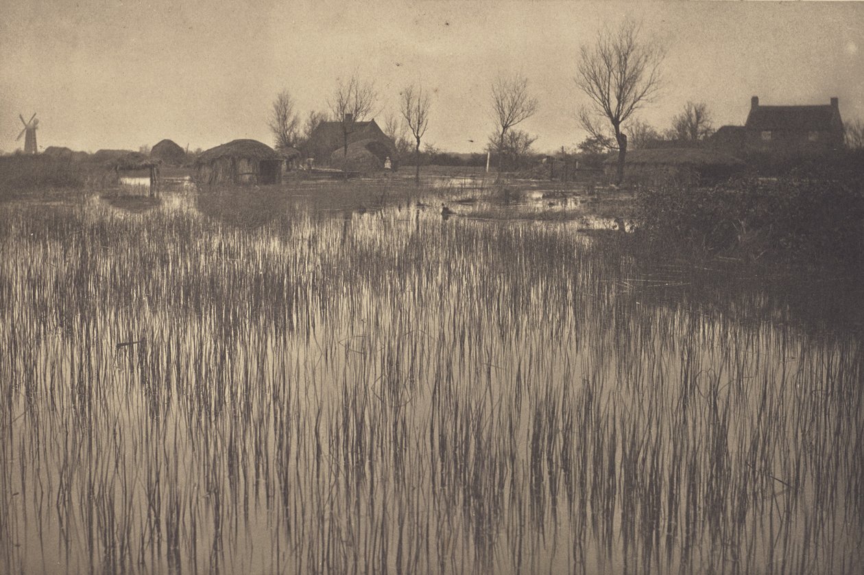 Un rivage rustique - Peter Henry Emerson